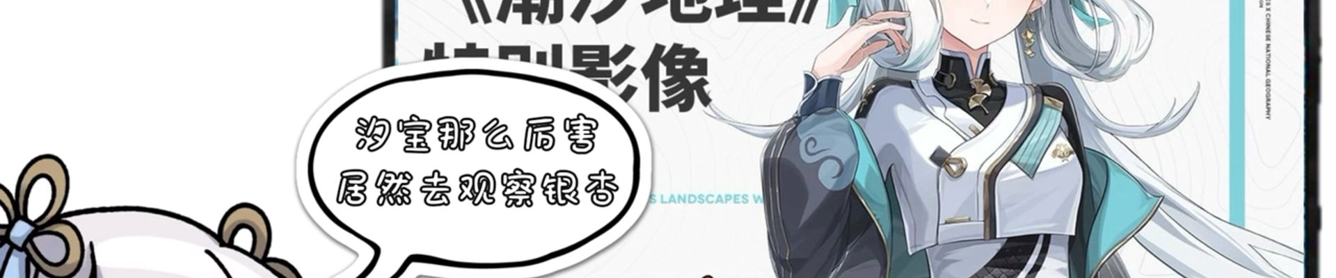 项目案例